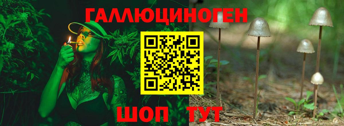 Дербент  Псилоцибиновые грибы мухоморы  Вход с VPN  купить   Псилоцибиновые грибы Magic Shrooms 