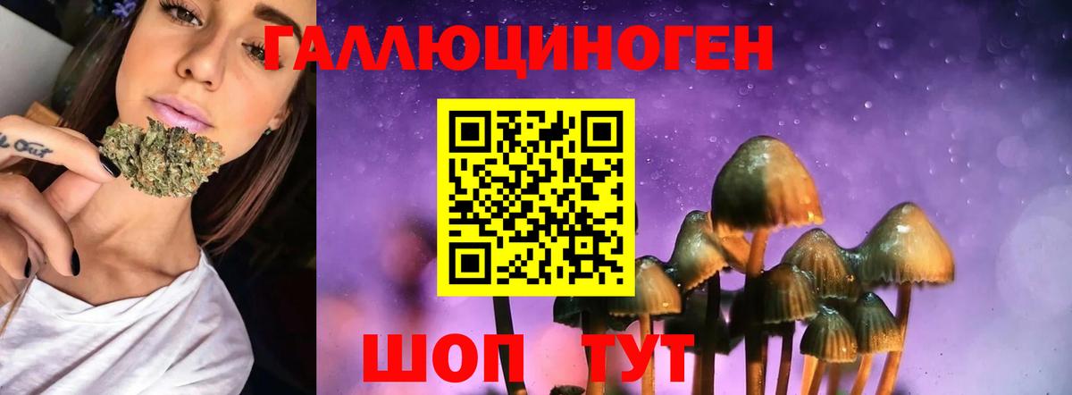 Галлюциногенные грибы Magic Shrooms Дербент