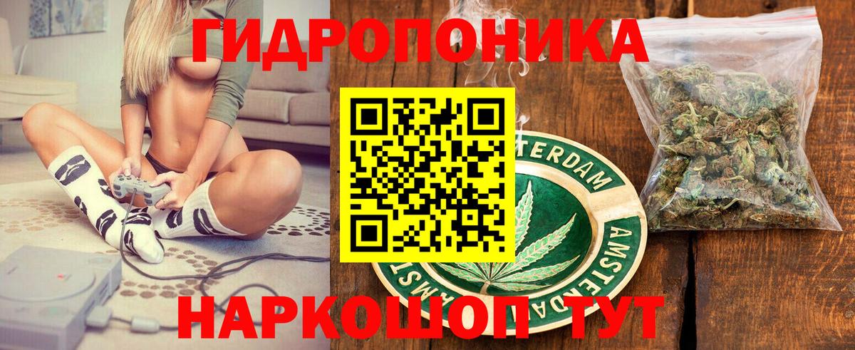 Шишки марихуана ГИДРОПОН Дербент